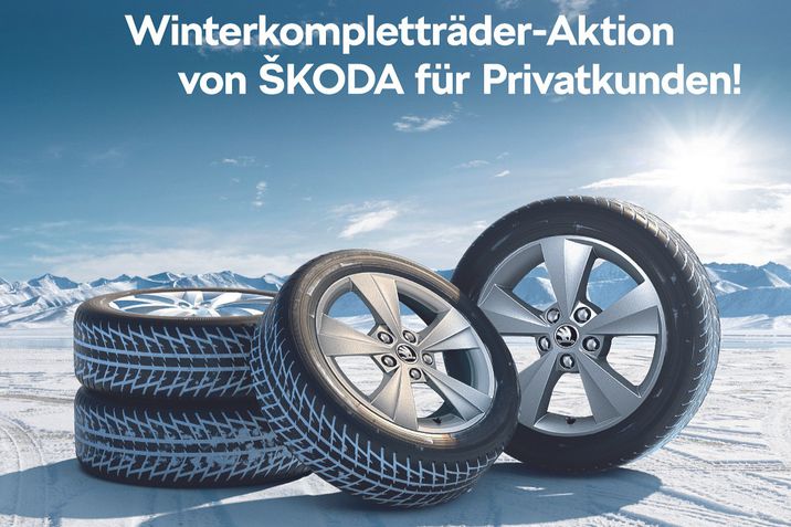 Winterkompletträder-Aktion